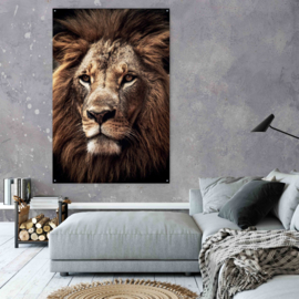 Leeuw, koning van Afrika