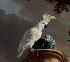 De menagerie door Melchior d'Hondecoeter