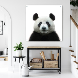 Portret van de Pandabeer