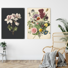 ​Dubbelzijdige kunst: Pelargonium met het schitterende boeket met bloemen