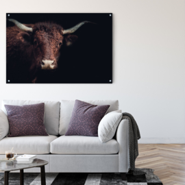 Portret van een koe tegen zwarte achtergrond