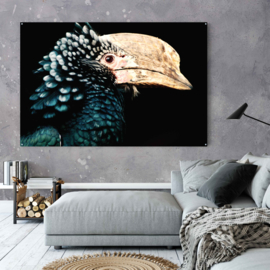 Hornbill op acrylglas 140x95 inclusief afstandhouders