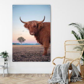 ​Dubbelzijdige kunst: Highland cattle met de prachtige Pelikaan!