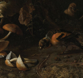 Dieren en planten van Melchior d'Hondecoeter