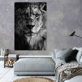 Schilderij leeuw zwart wit