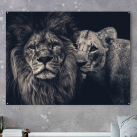 Lion couple