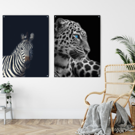 ​Dubbelzijdige kunst: Dark zebra met de blauwogige panter