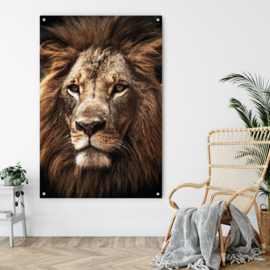 Leeuw, koning van Afrika