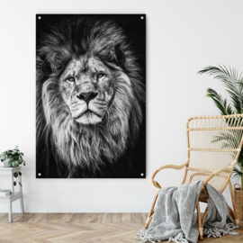 Dubbelzijdige kunst: Alpha lion met de prachtige blauwe Ara