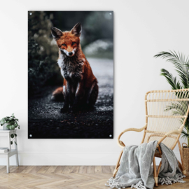 Dubbelzijdige kunst: Night fox met de prachtige blauwe Ara