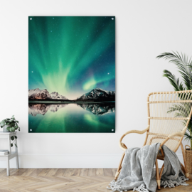 Dubbelzijdige kunst: Northern Lights met de Dark zebra