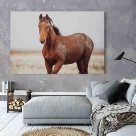 Wild paard in natuurlijke omgeving