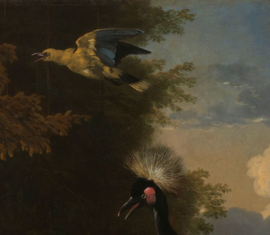 Een pelikaan en ander gevogelte bij een waterbassin van Melchior d'Hondecoeter