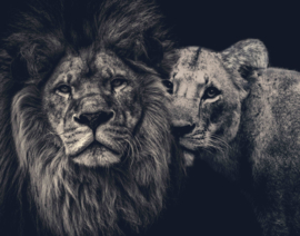 Schilderij leeuw en leeuwin