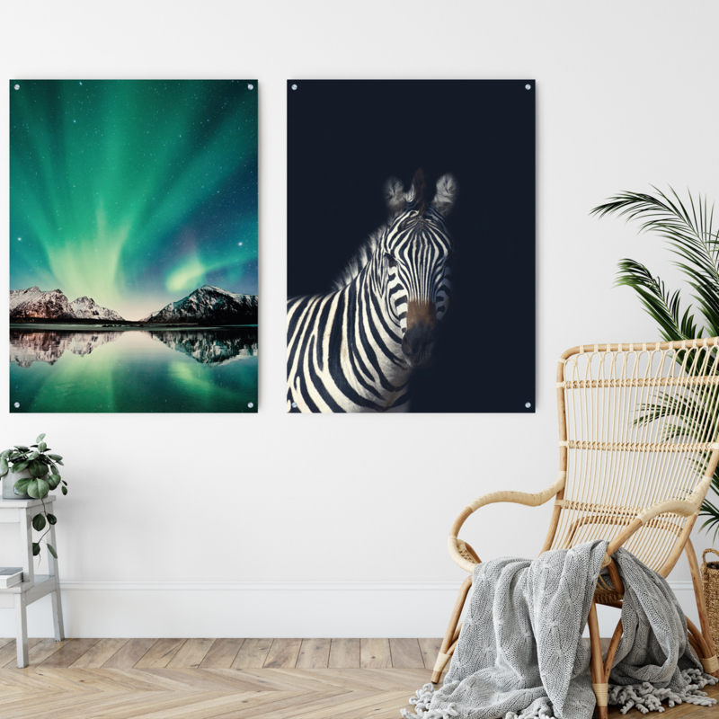 Dubbelzijdige kunst: Northern Lights met de Dark zebra