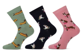 Teckel Limited Dogs ladies sock 3-pack
