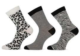 Ladies socks Teckel animal 3-pack