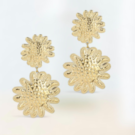 Oorbellen Rond Goud