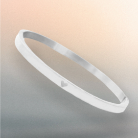 Roestvrij stalen (RVS) stainless steel armbanden met hart Zilver