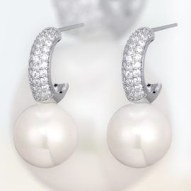 Pareltjes zilver
