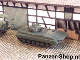 (N) BMP-2