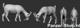 (N) Goats