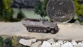 (N) Sd.Kfz.251