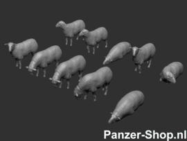 (N) Schwarzköpfiges Fleischschafe