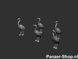 (N) Reigers