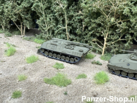 Bergepanzer 2, Bergeleo (N Beschilderd)