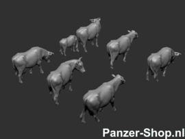 (H0) Cows, Pinzgauer