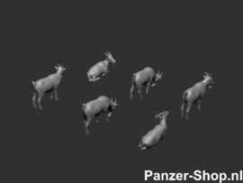 (N) Goats