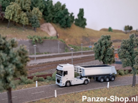 (TT) DAF XF-95 Zugmaschine & Kipper Auflieger