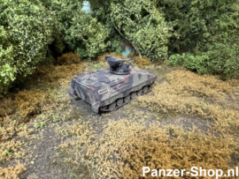 (H0) Marder 1 A2