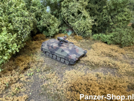 (H0) Marder 1 A2