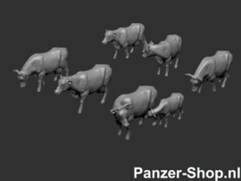 (N) Cows, Pinzgauer