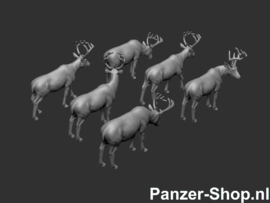 (H0) Reindeer