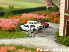 (N) Renault R4