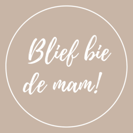 Blief bie de mam