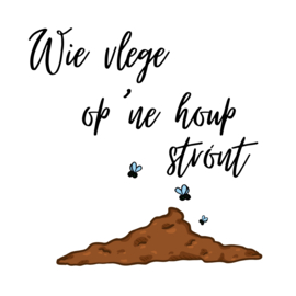 Wie vlege op 'ne houp strónt
