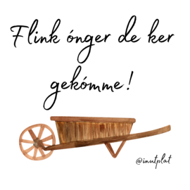 Flink ónger de ker gekómme!