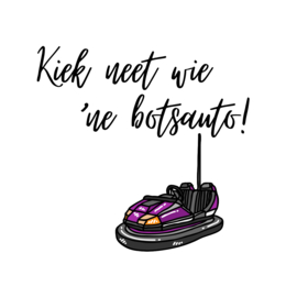 Kiek neet wie 'ne botsauto!