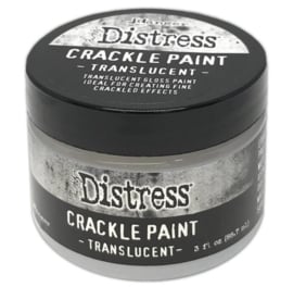Distress Crackle Paint Translucent TDC80411