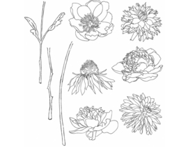 Stampset Flower Garden (CMS215)