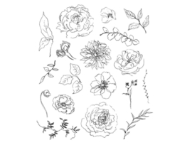 Stampset Floral Elements (CMS445)