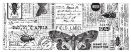 Idea-Ology Collage Paper Entomology TH94120