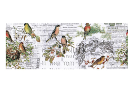 Idea-Ology Collage Paper Aviary TH93706