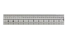 Tim Holtz Media Ruler (4634EUS)