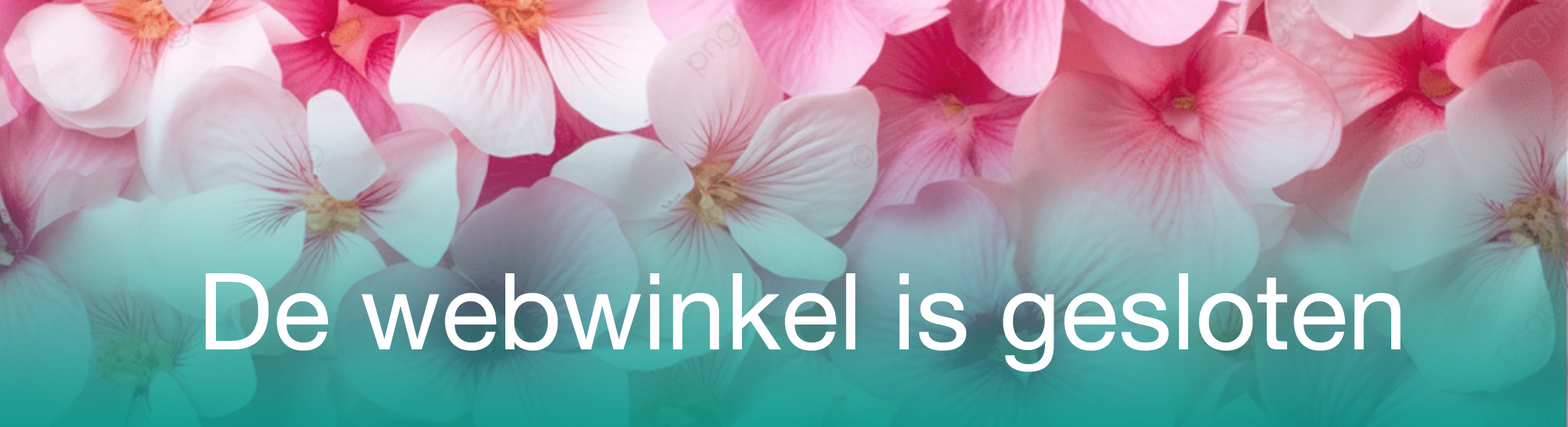 Webwinkel is gesloten