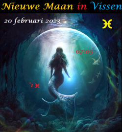 Nieuwe Maan in Vissen - 20 februari 2023